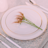 8" Classic Ivory Design Plastic Plates (40 Count) - Yom Tov Settings